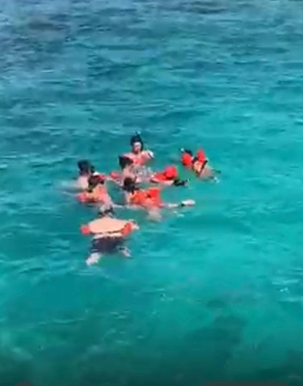 Isla Catalina + Snorkel