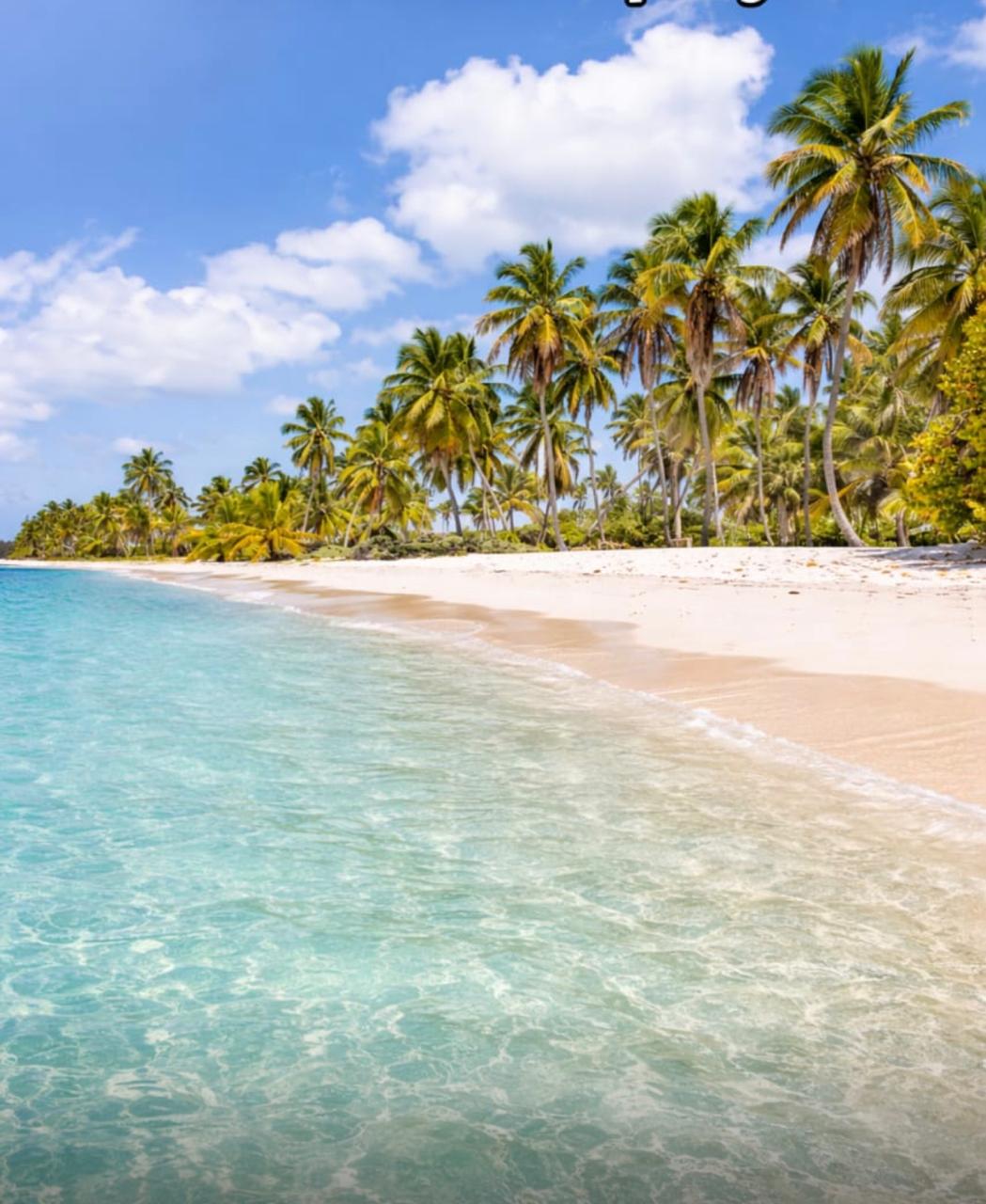 Saona Island Experience